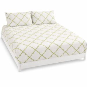Bed Sheet with 2 Pillow Cases- White & Green 210 TC